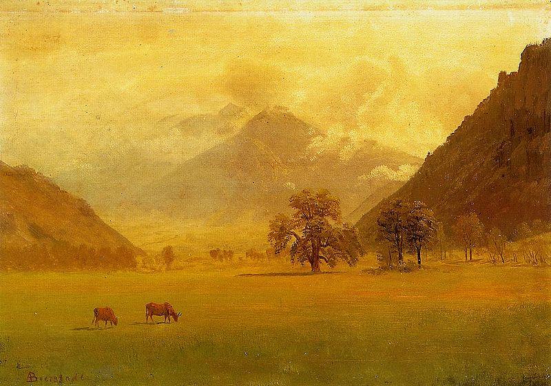 Albert Bierstadt Rhone Valley China oil painting art